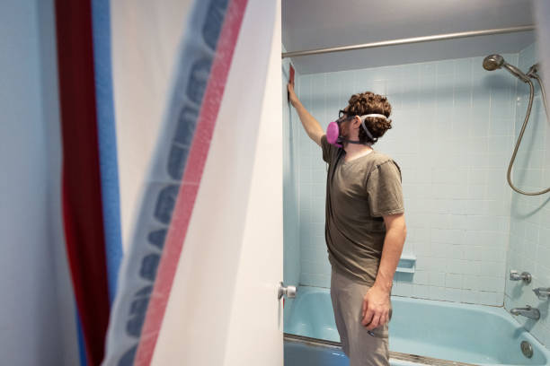 Best Mold Removal for HVAC Installations  in Riverdale Park, CA