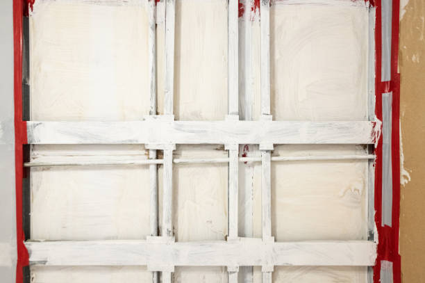 Best Mold Damage Restoration  in Riverdale Park, CA