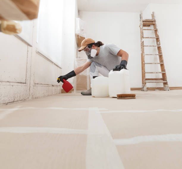 Best Water Damage & Mold Remediation  in Riverdale Park, CA
