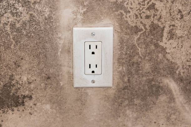 Best Mold Remediation for Vacation Homes  in Riverdale Park, CA
